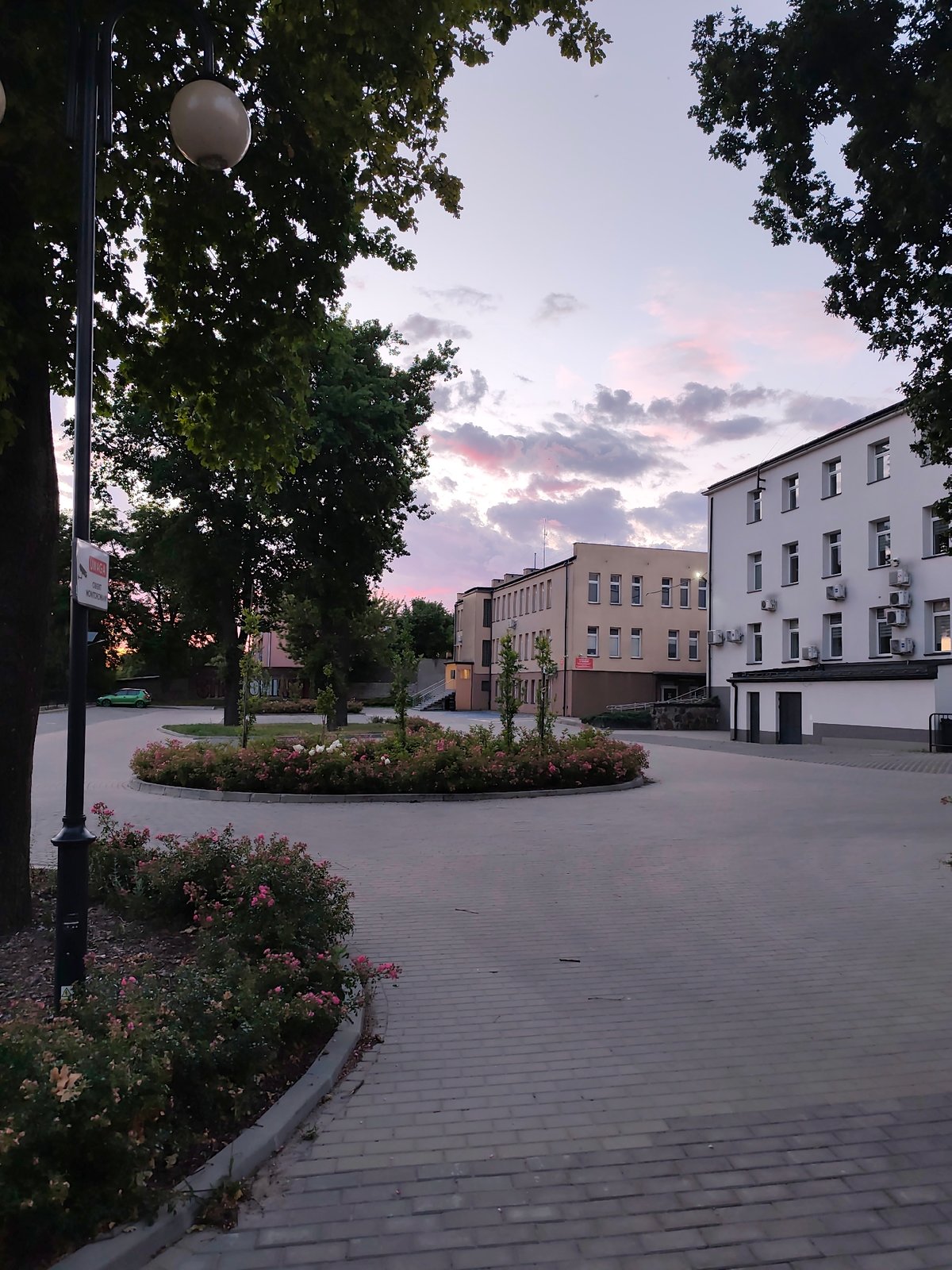 Neighborhood stroll turns into an evening flower survey