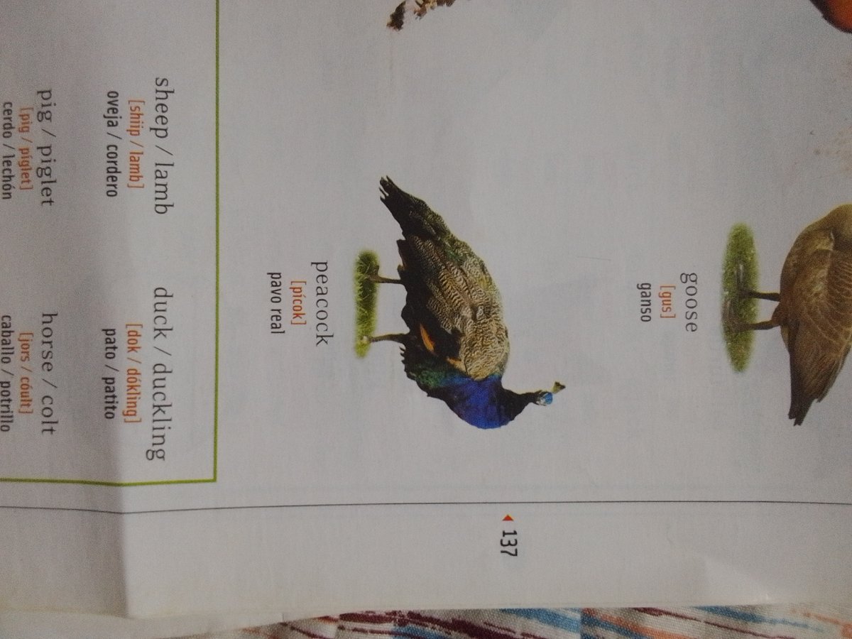 Evening snapshots of street life and kids' education in La Tagua