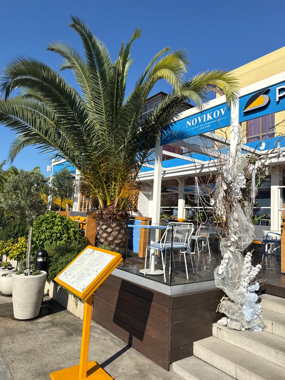 Sochi's palm-lined promenade on a sunny summer morning