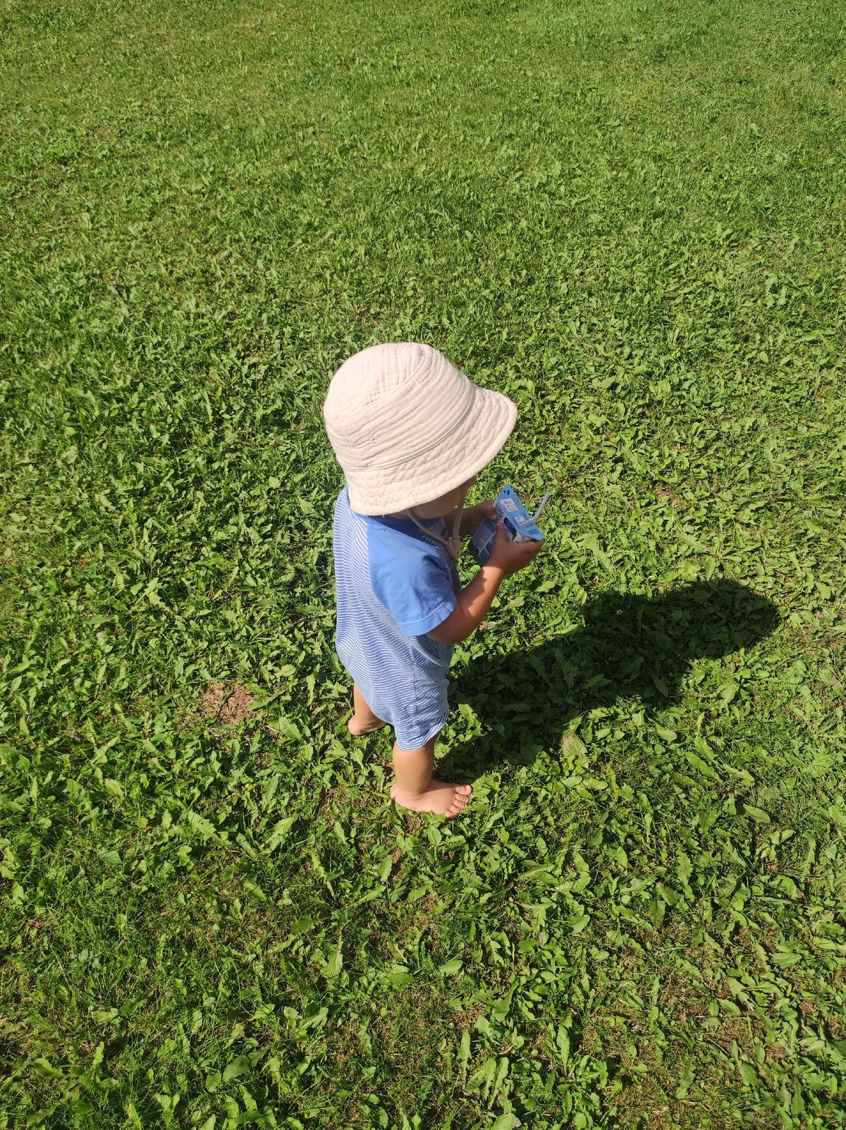 Toddler, poodle, and snacks on a sunny morning out