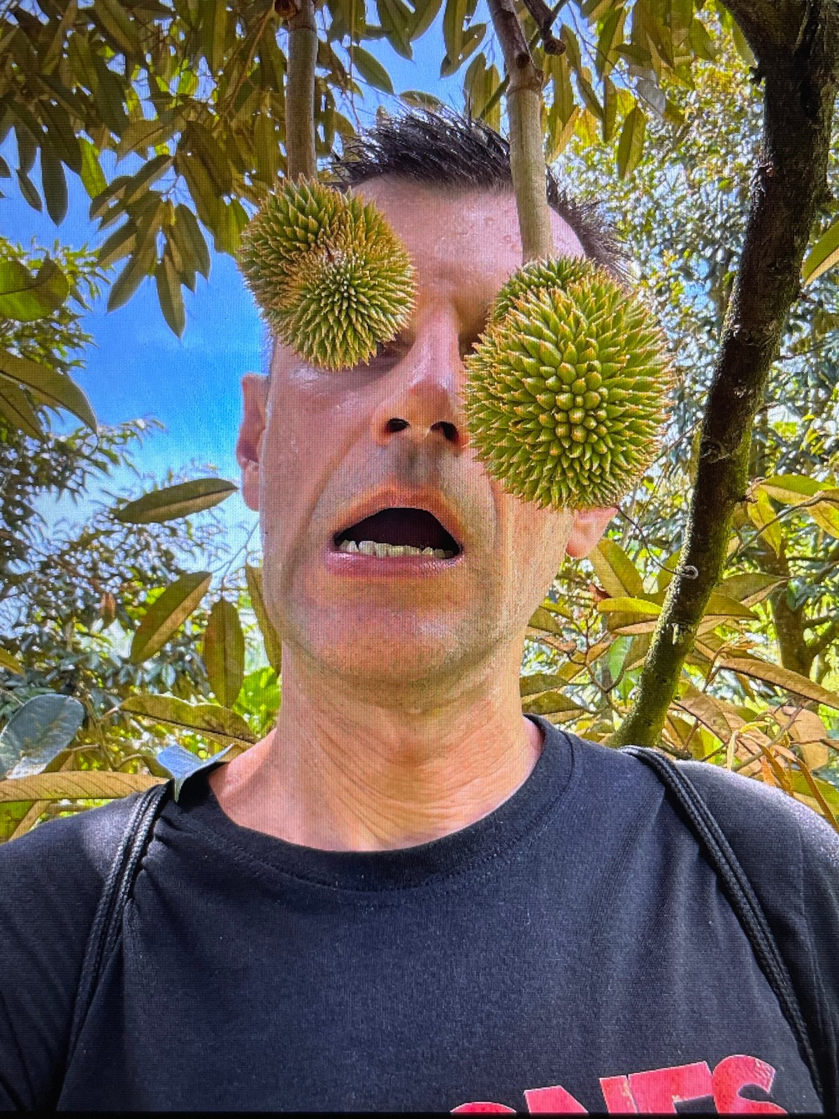 Durian goofing around and a golden Buddha shrine