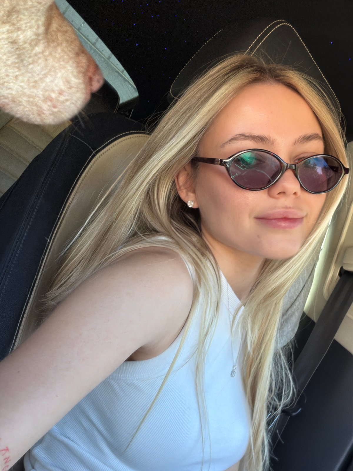 Woman and pit bull dog spotted in car in Ashkelon