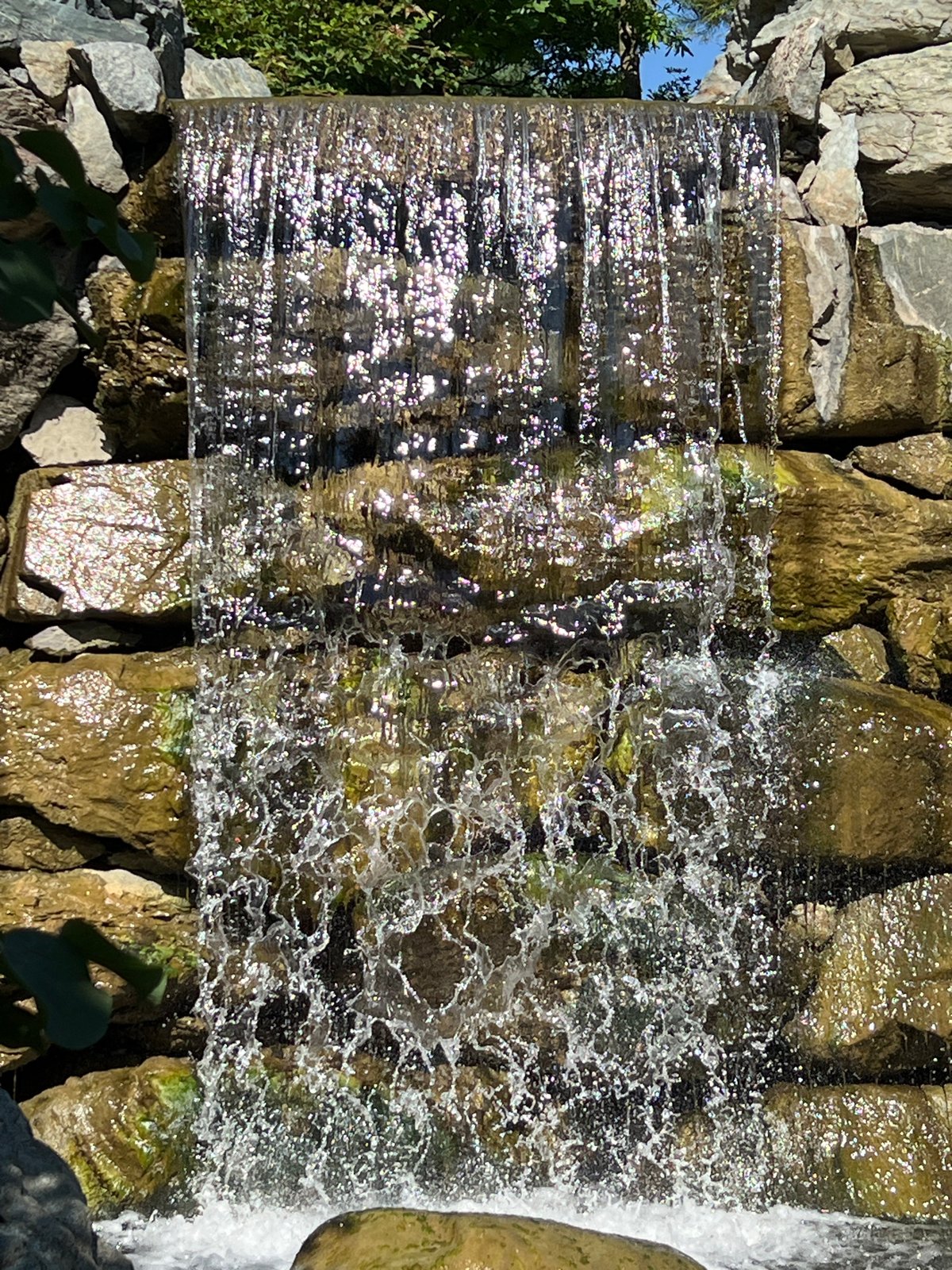 Japanese garden in Krasnodar, stones, water, and maples