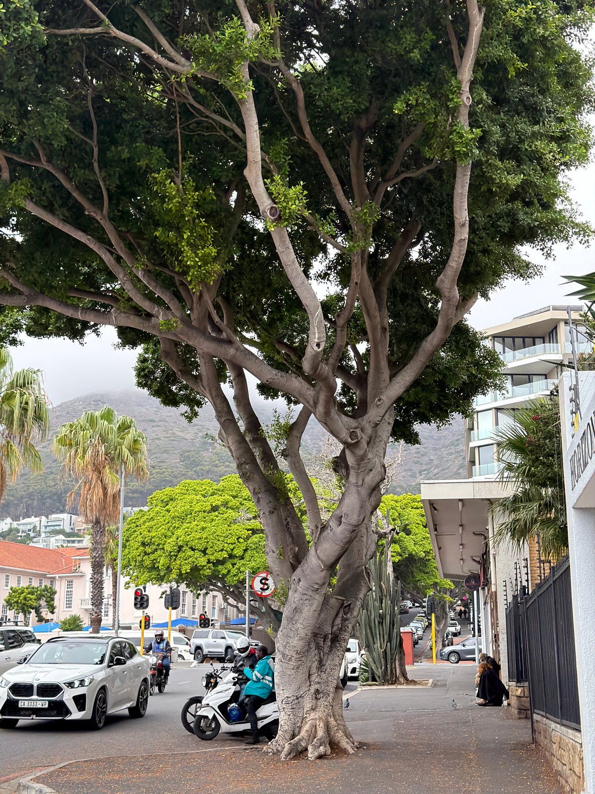 Cape Town morning scenes captured during foggy April day