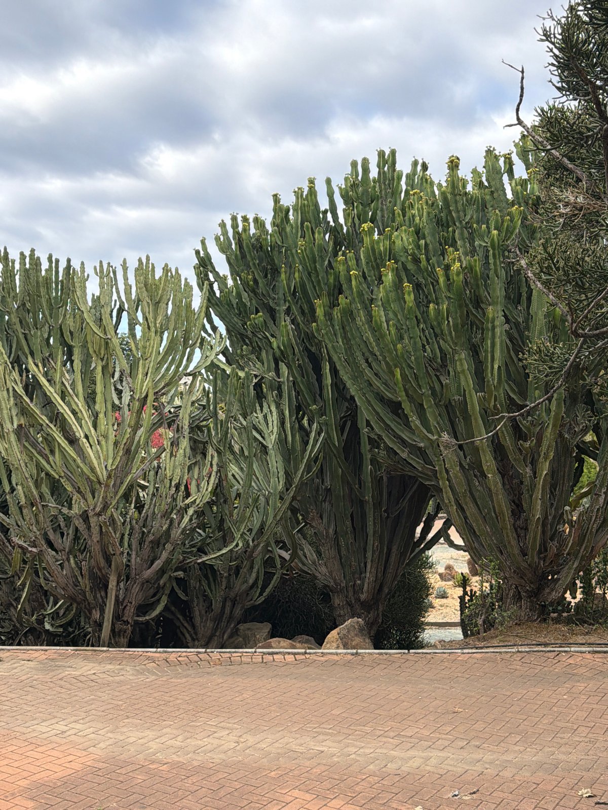 Morning walk documented through Spanish coastal town