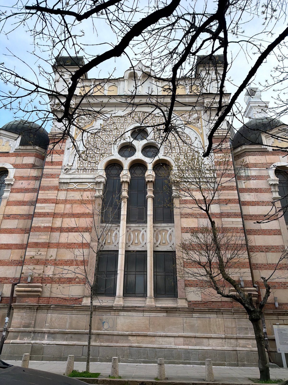 Striped brick building with dome documented through bare trees