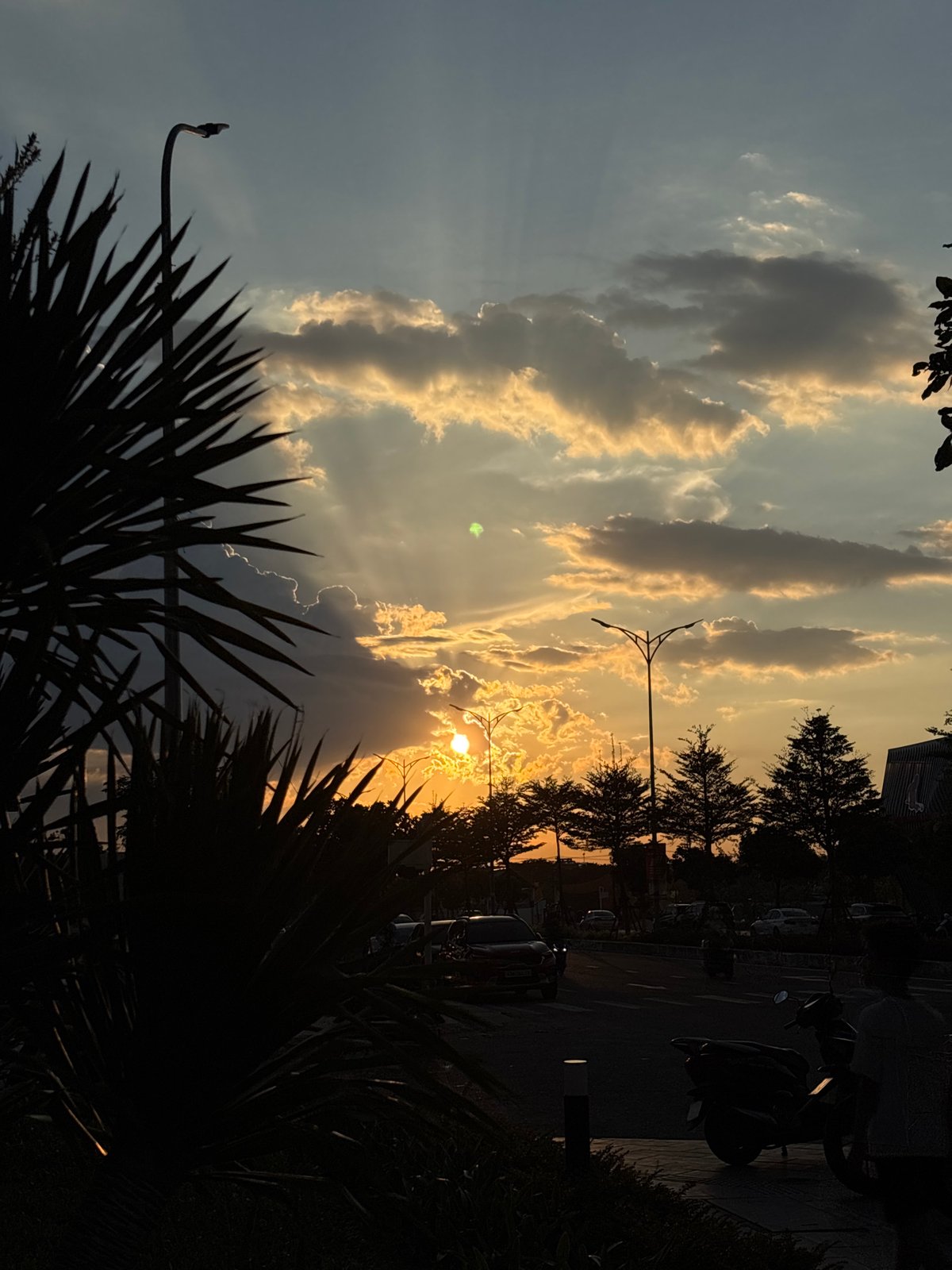 Sunset chasers and café culture across Đà Nẵng