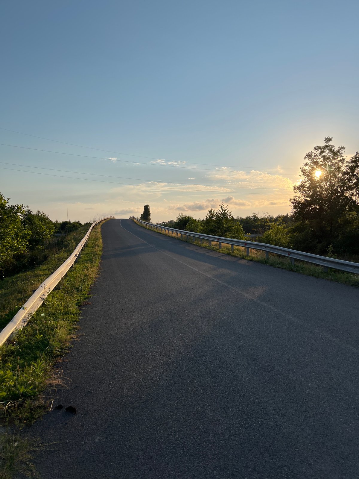 Roads, cows, and Soviet-era apartments in coastal Ureki, Georgia