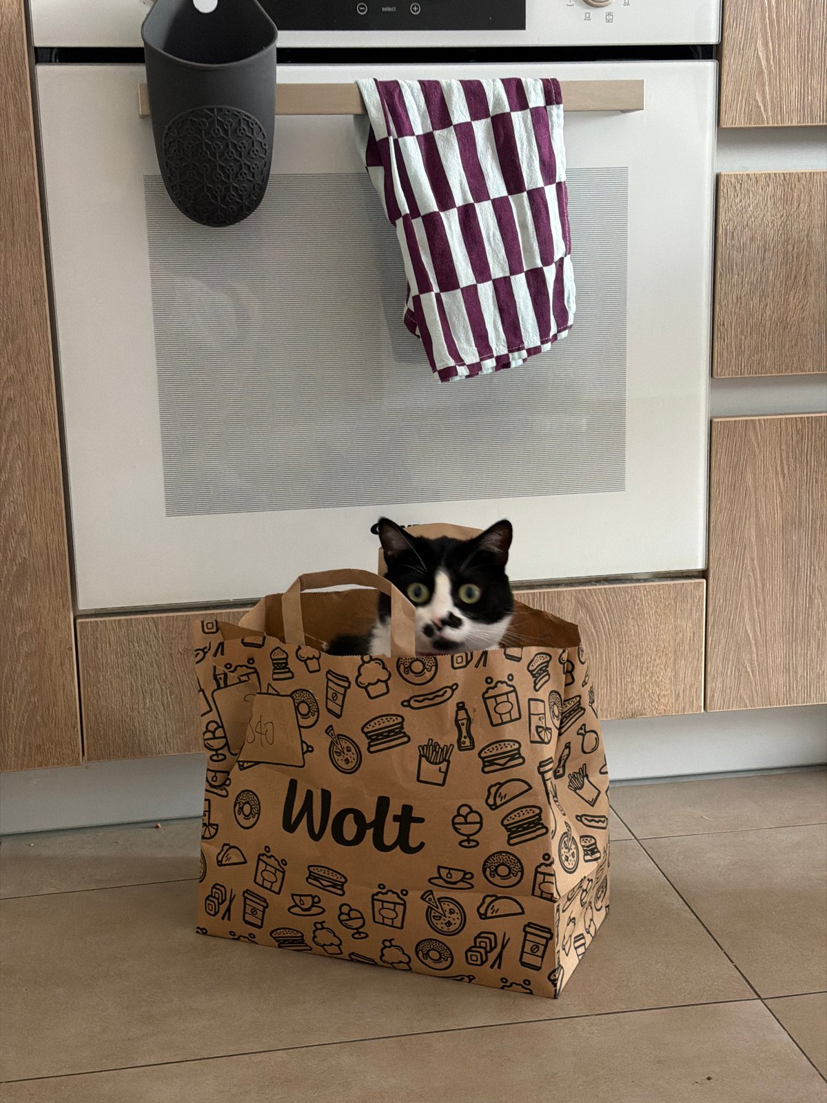Belgrade resident documents cat, coffee, and city life moments