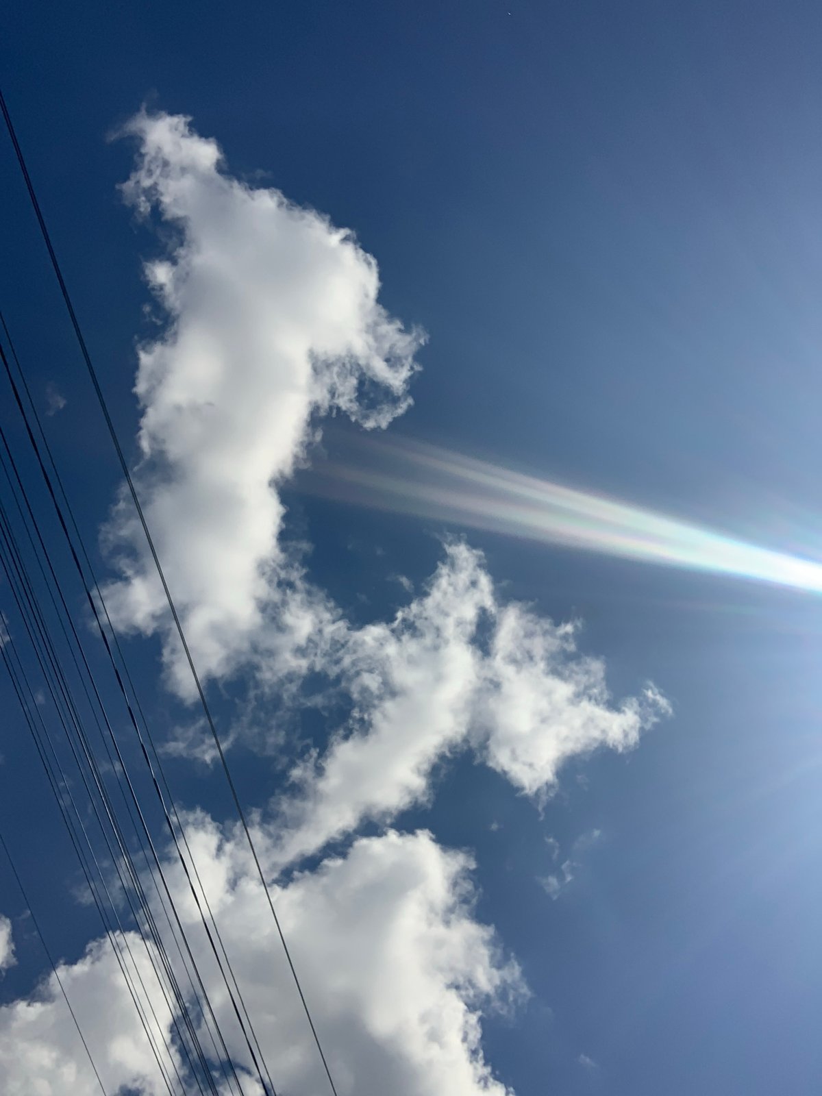 Quiet morning snapshots: coffee, garden, streets, and home