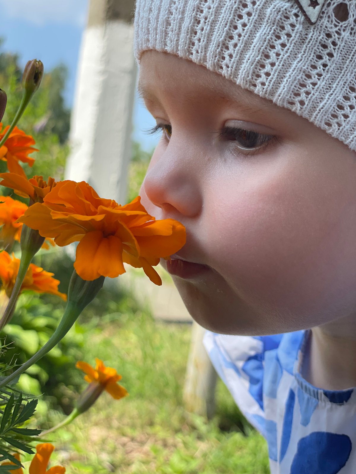 Summer garden exploration in Izhevsk — flowers, birds, and outdoor play