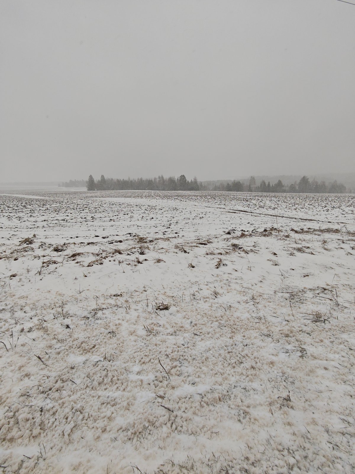 Snow-covered plowed field observed in Foki, Russia