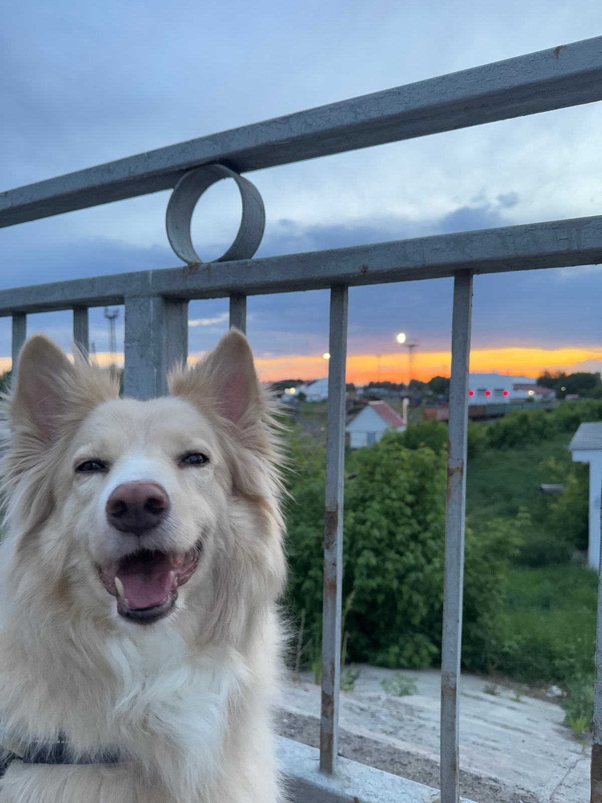 Evening life documented across Chaikovsky, Russia by single witness