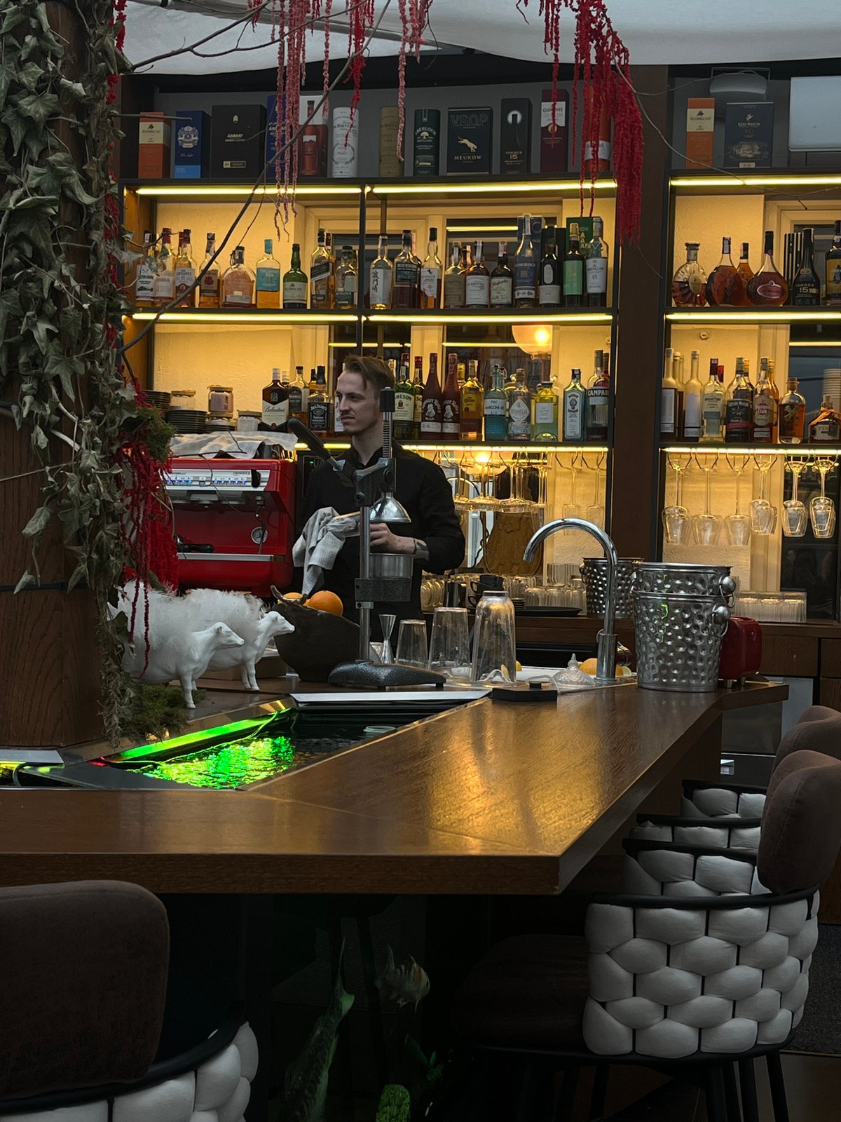Dining and bar service documented in Hrodna establishments