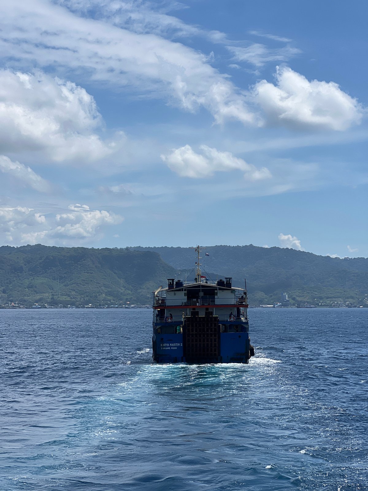 Indonesian vessel Karya Maritim II spotted near vegetated coastline