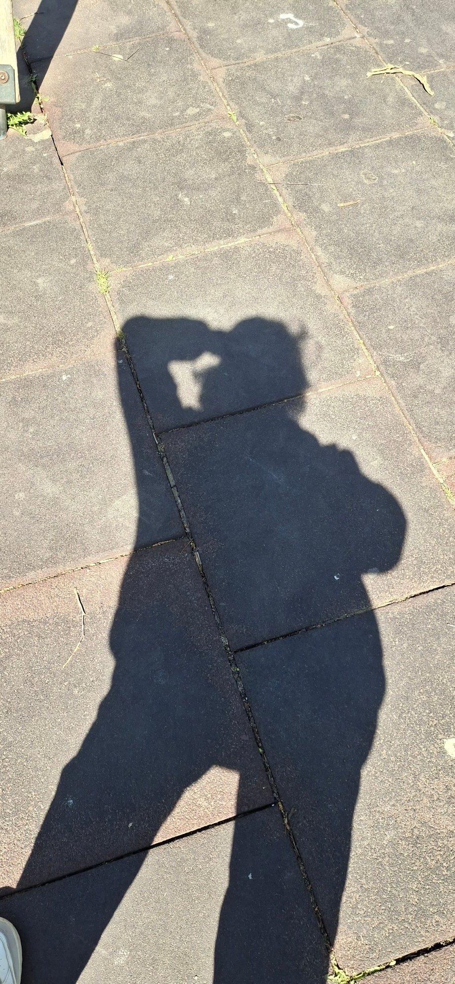 Morning moments captured in Chaikovsky: selfies and playground visits