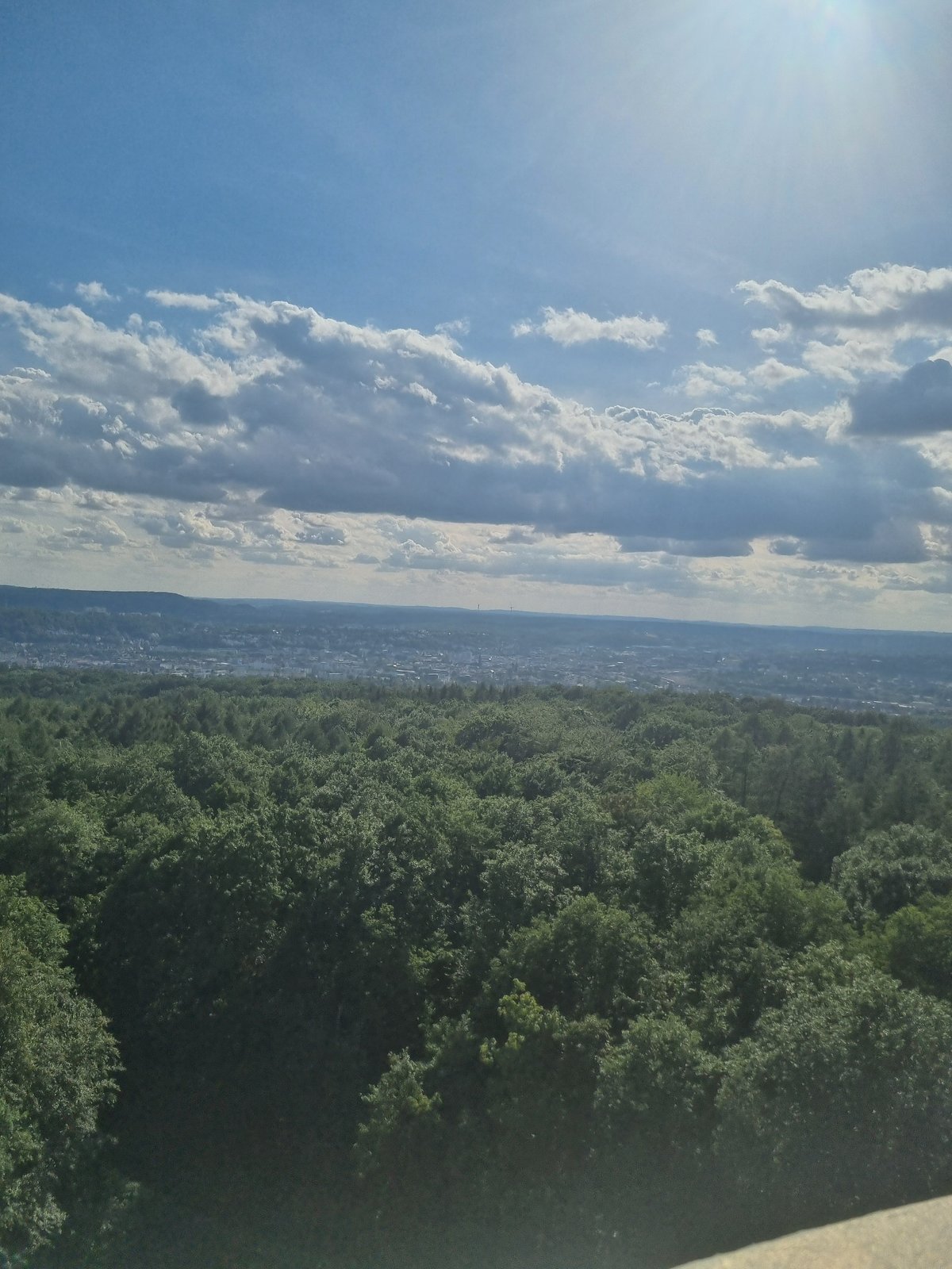 Panoramic views over Saarbrücken from a forested hillside lookout