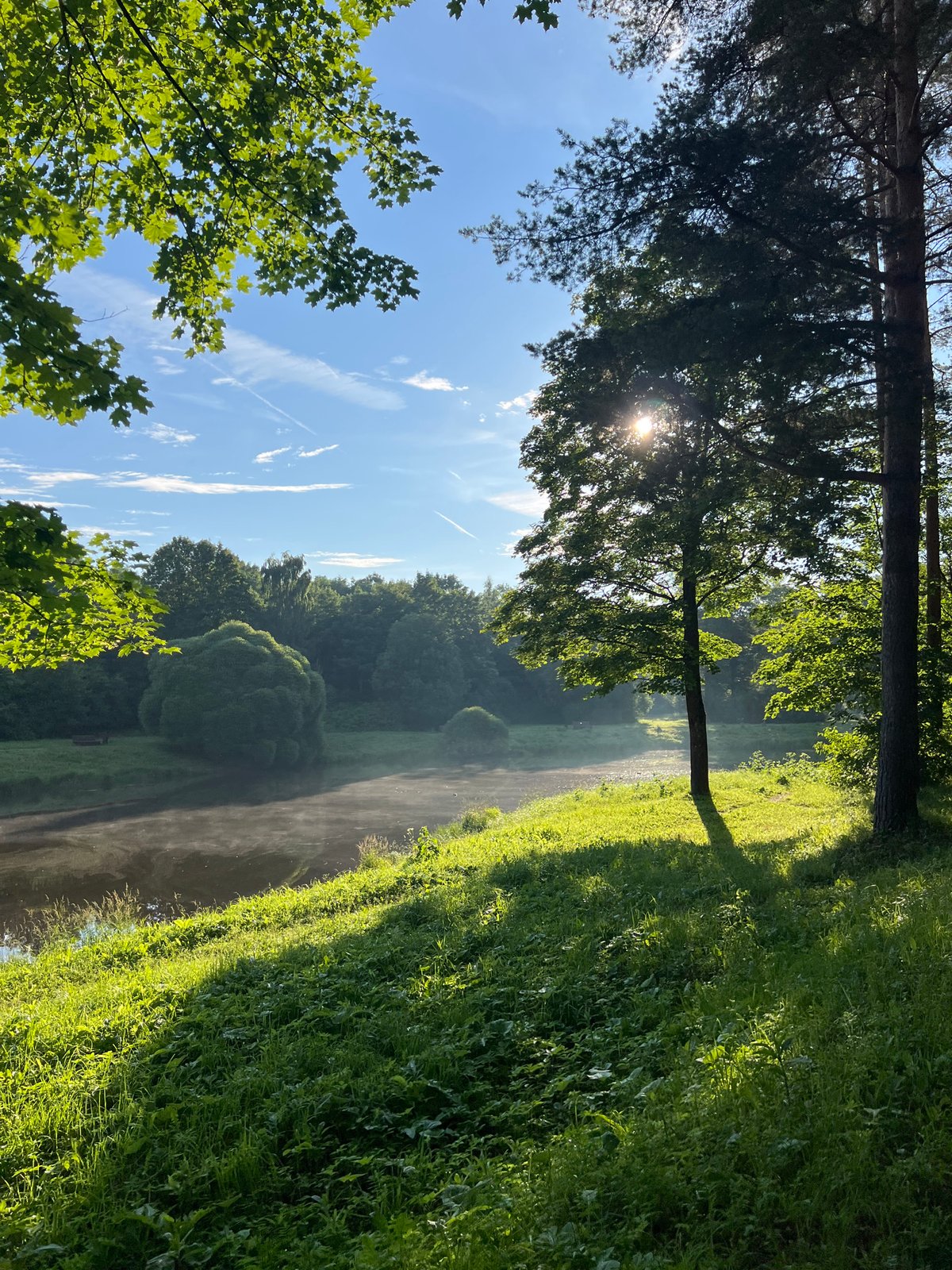 Quiet summer morning in the parks of Pushkin, Russia