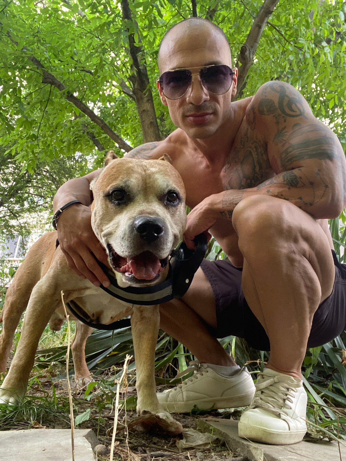 Afternoon hangout with a dog in a Pleven park