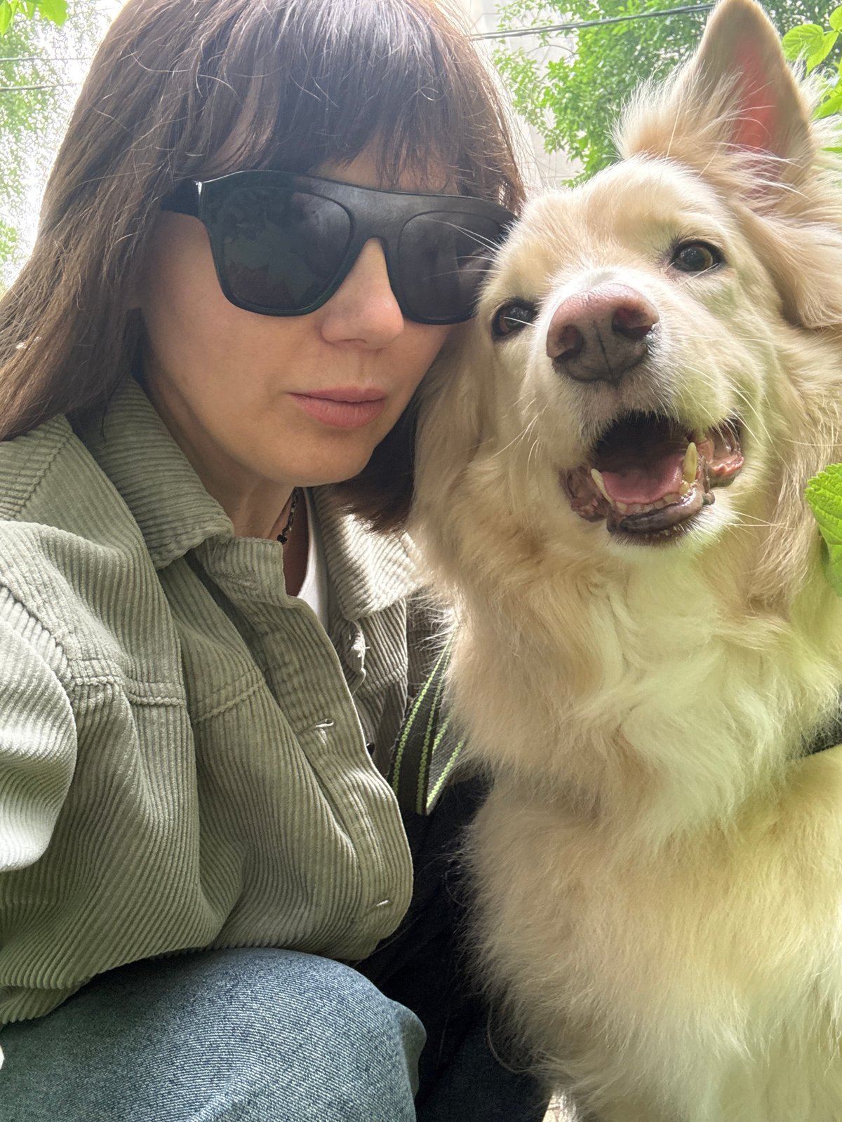 A summer morning in Chaikovsky — trails, flowers, dogs, and volleyball