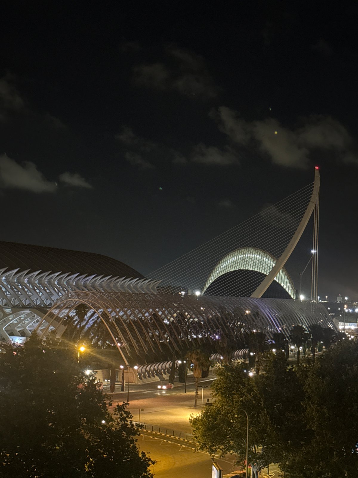 Night tour of Valencia's City of Arts and Sciences