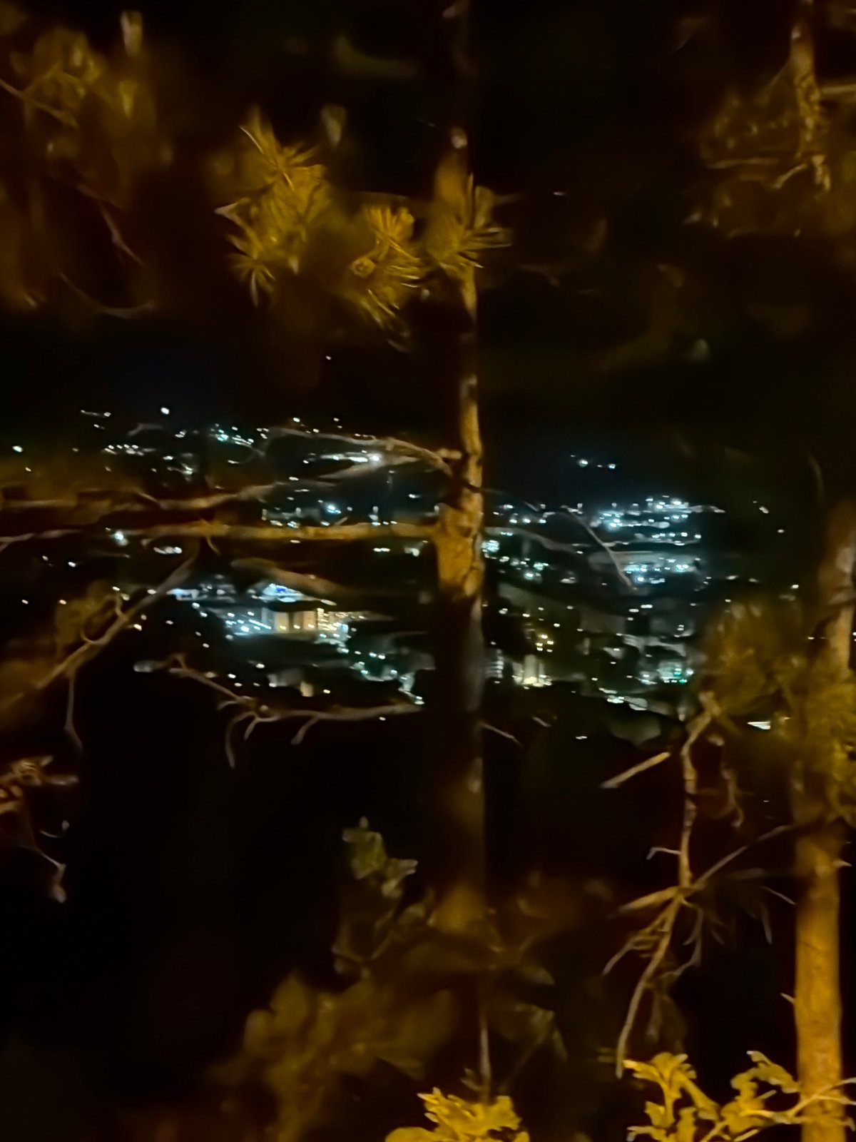 Nighttime cityscape observed from elevated hillside position