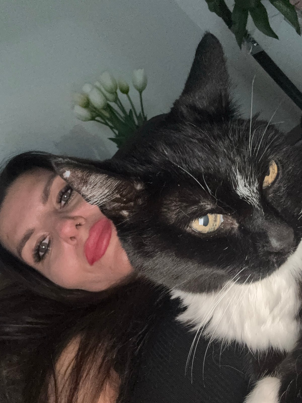 Quiet afternoon in Chaikovsky: pets, garden, and a sunset