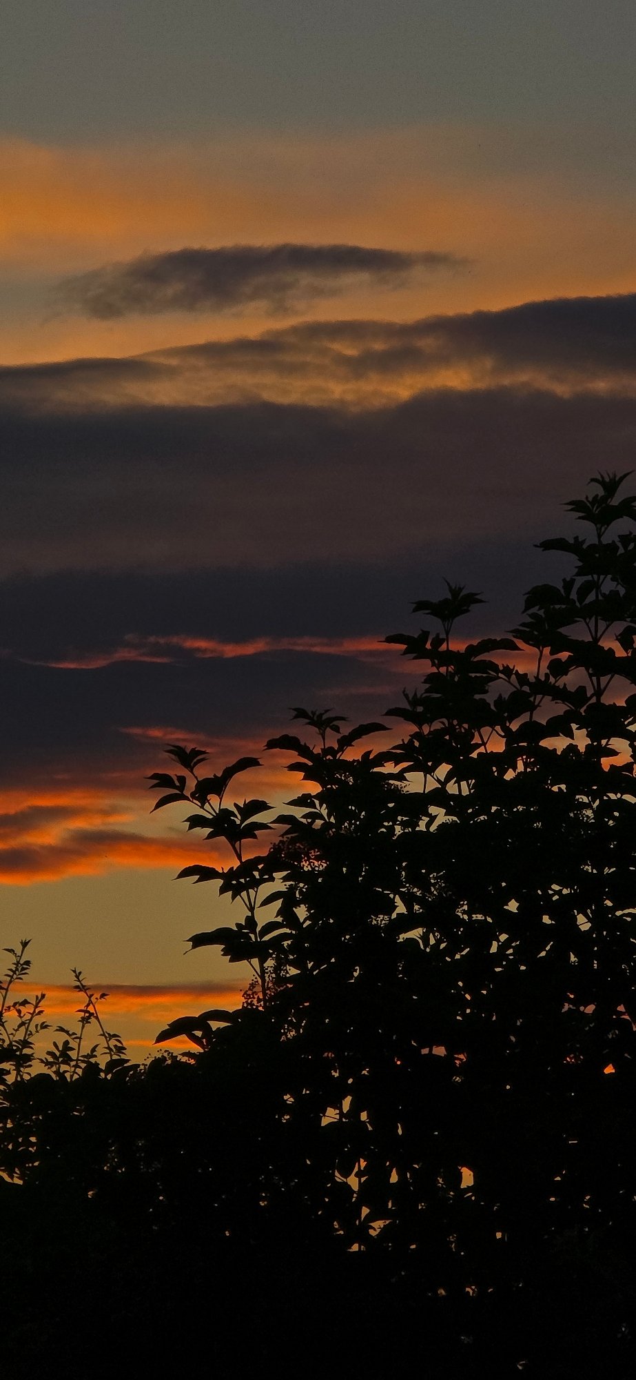 Vivid sunset sky caught from two angles, clouds and color.
