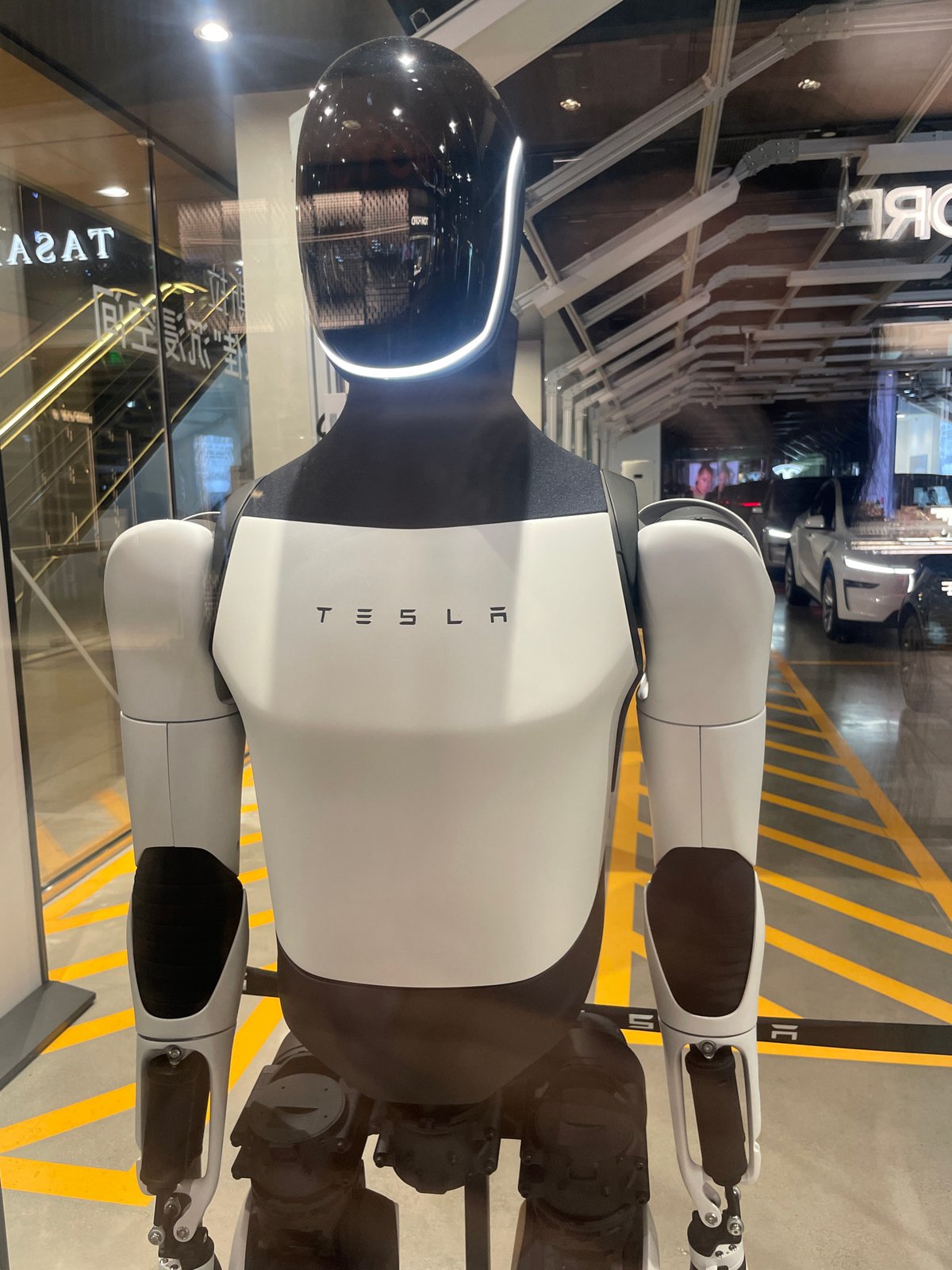 Luxury brand displays documented at Chengdu shopping mall
