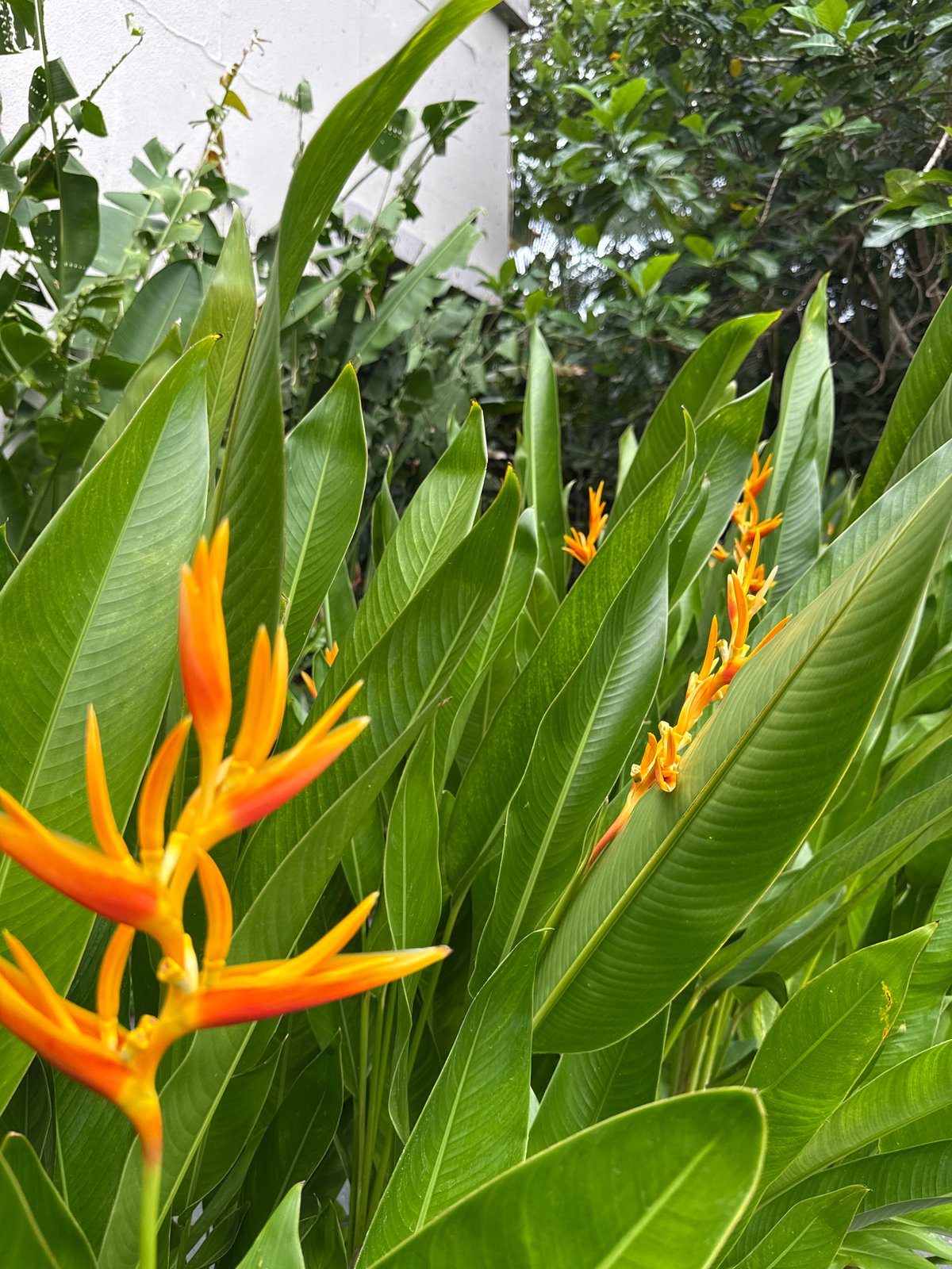 Morning scenes captured across Nusa Dua resort area