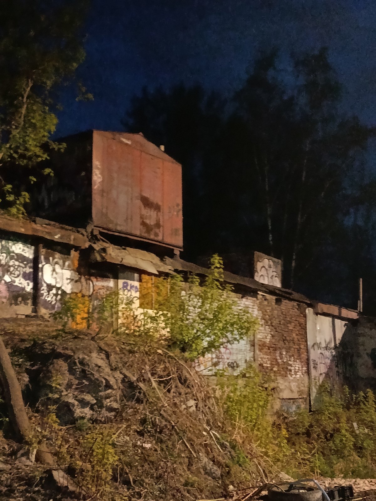 Dog walker documents afternoon stroll through Krasnoyarsk neighborhoods
