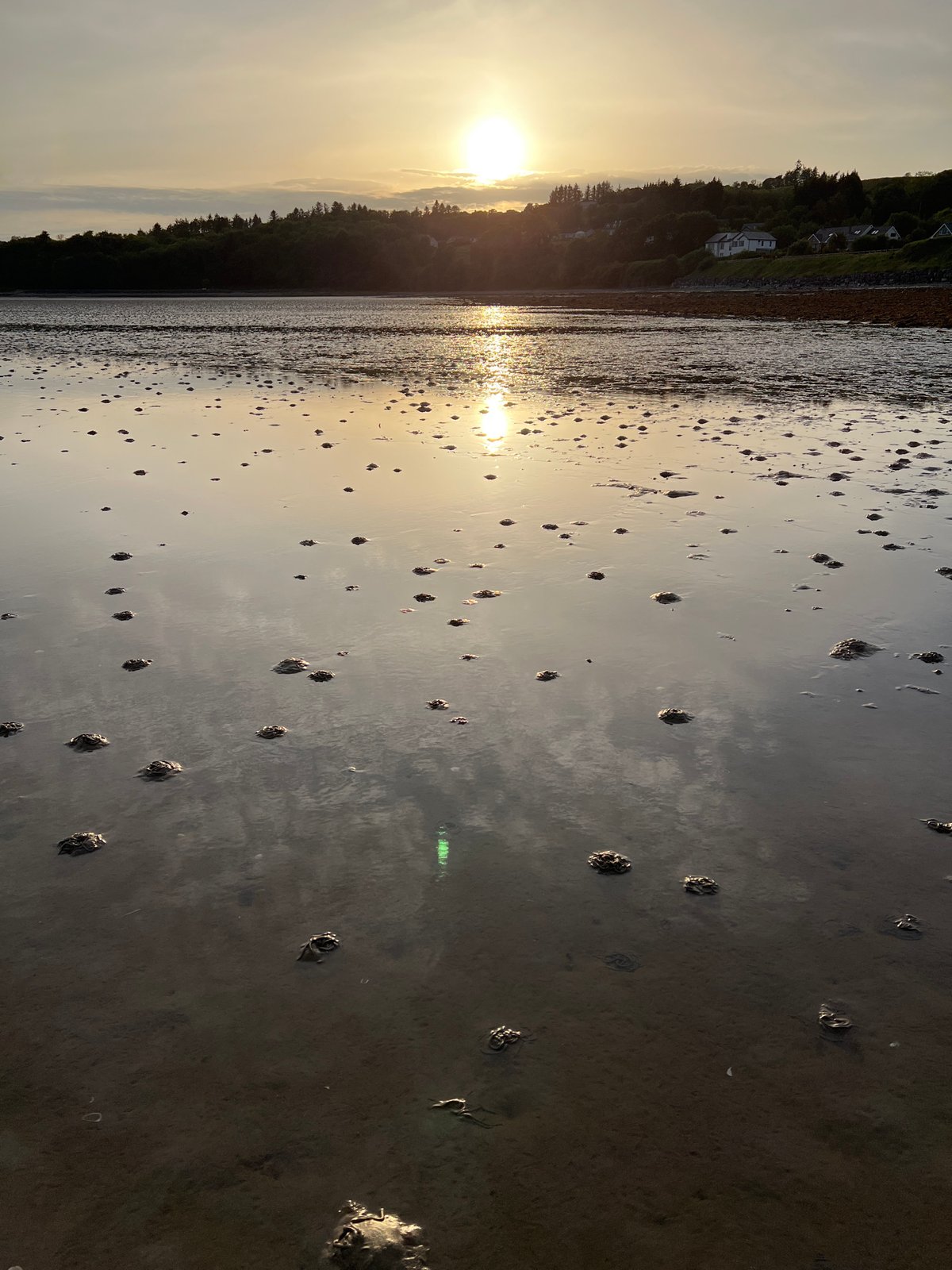 Golden-hour low tide at Mountcharles shore, Ireland