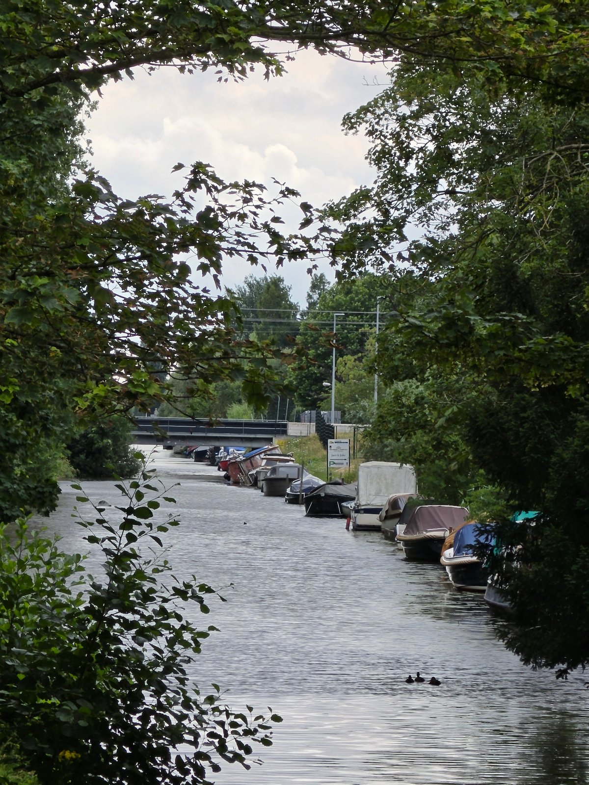 Canals and public art along a Dutch afternoon route