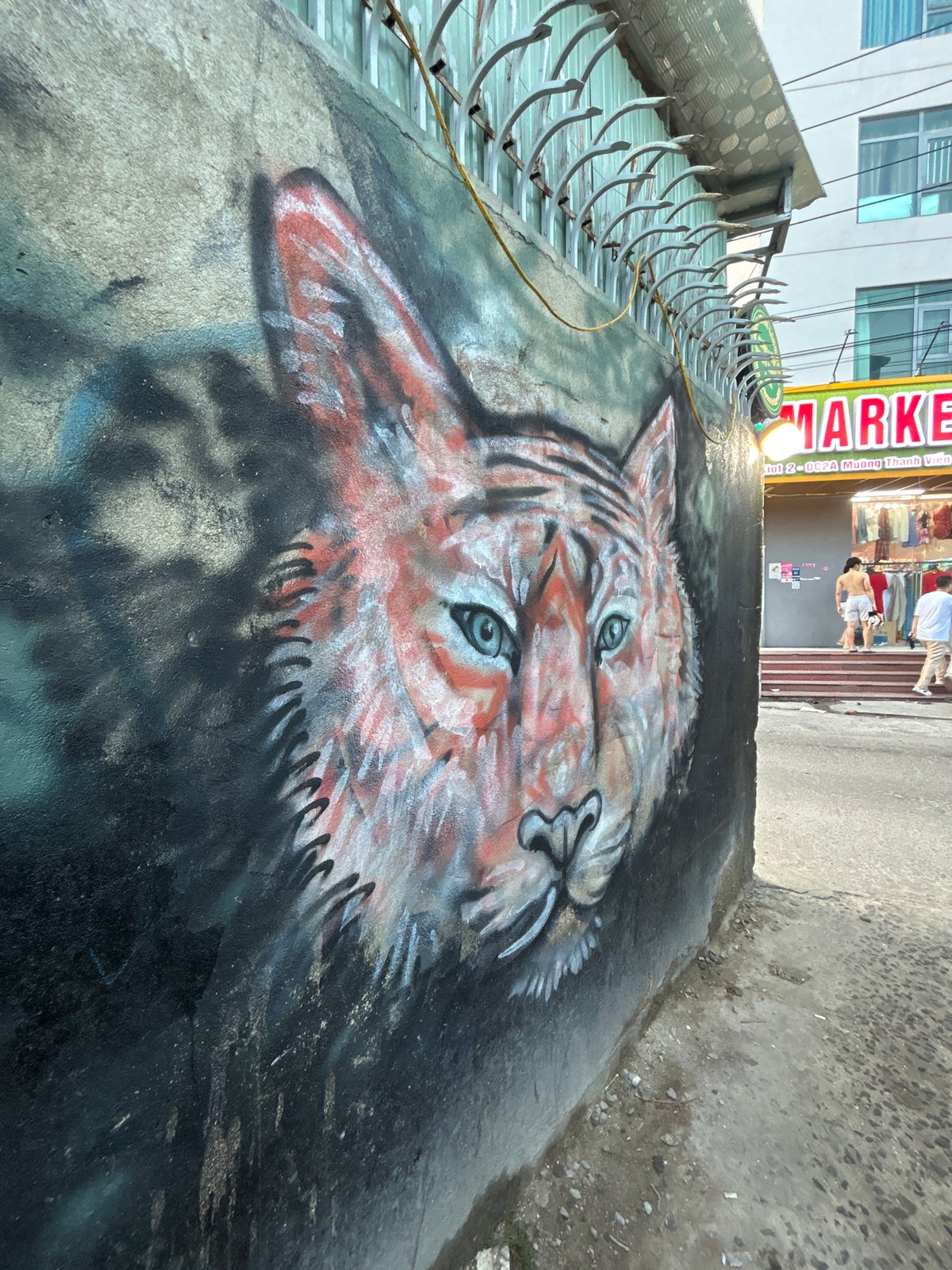 Tiger mural spotted on concrete surface in Vietnam
