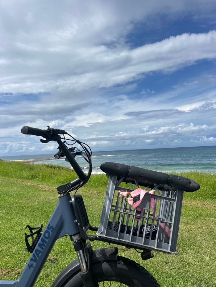 Early morning visit documented at Bulli Beach, Australia