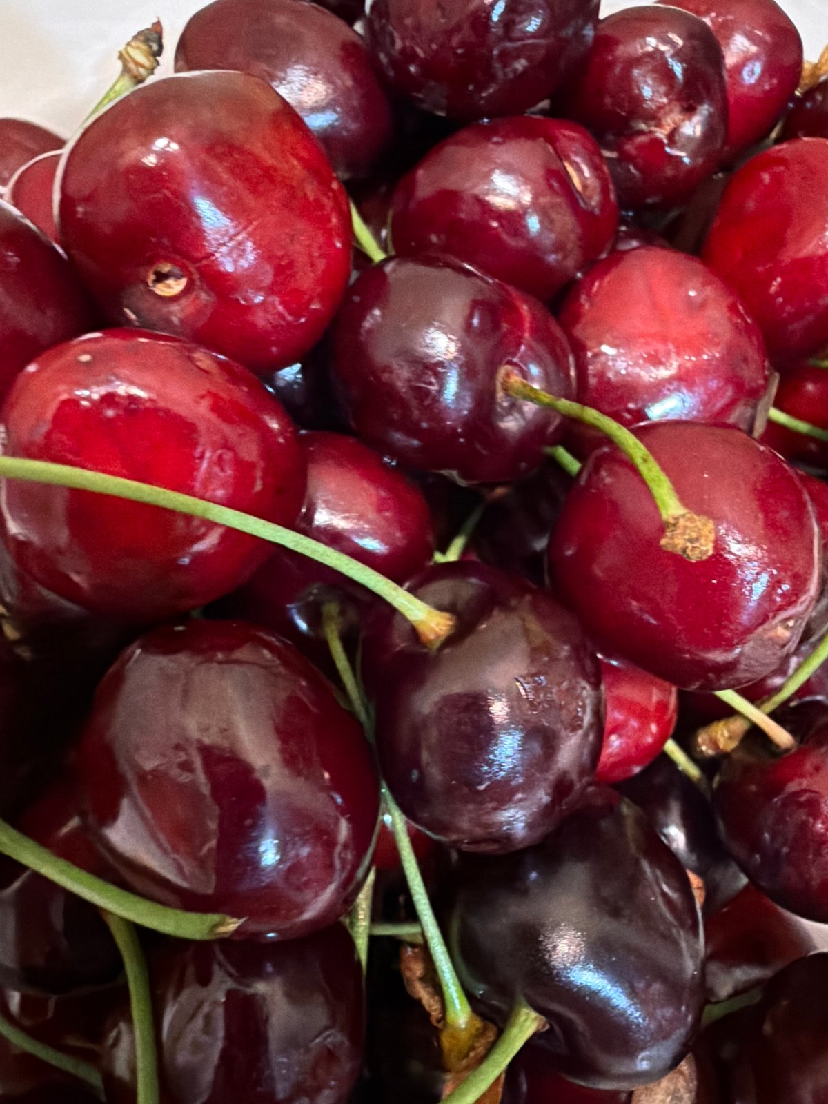 Quiet evening indoors: cats, plants, cherries, and small decorative things