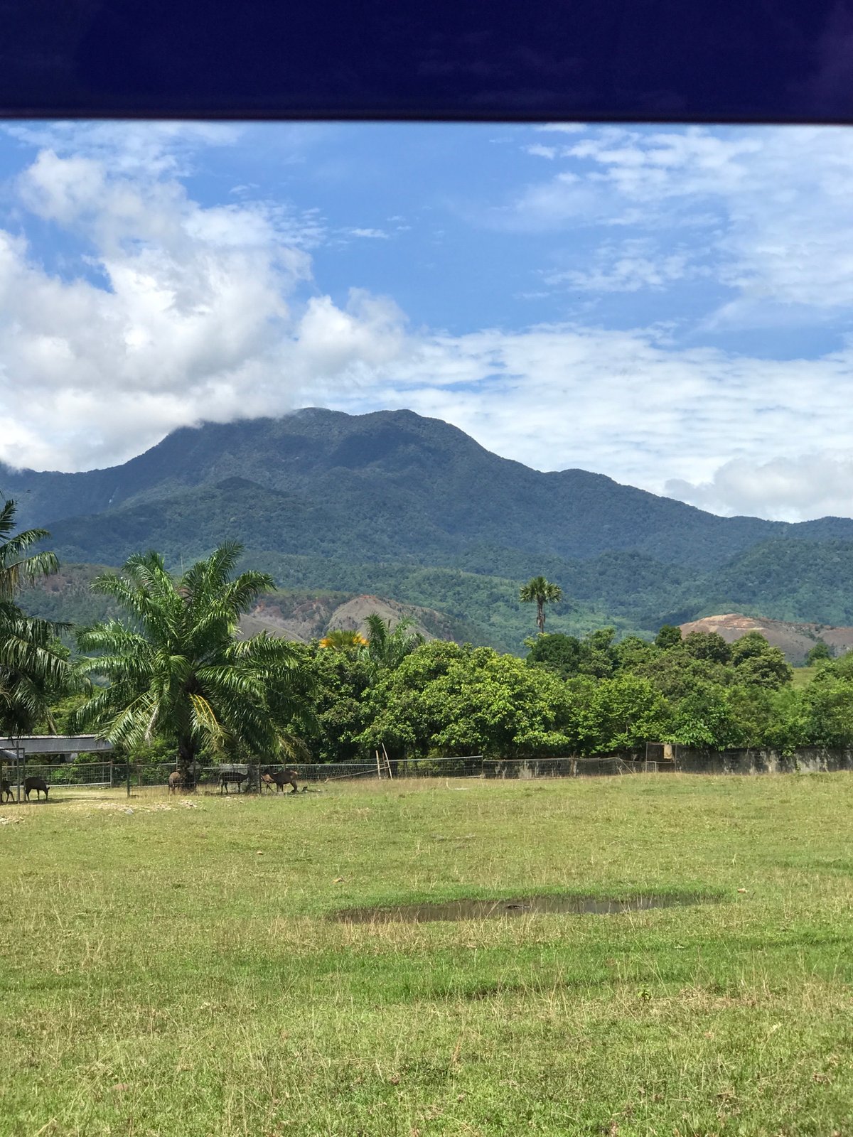 Rural Indonesian landscape documented in Keureuweungkrueng