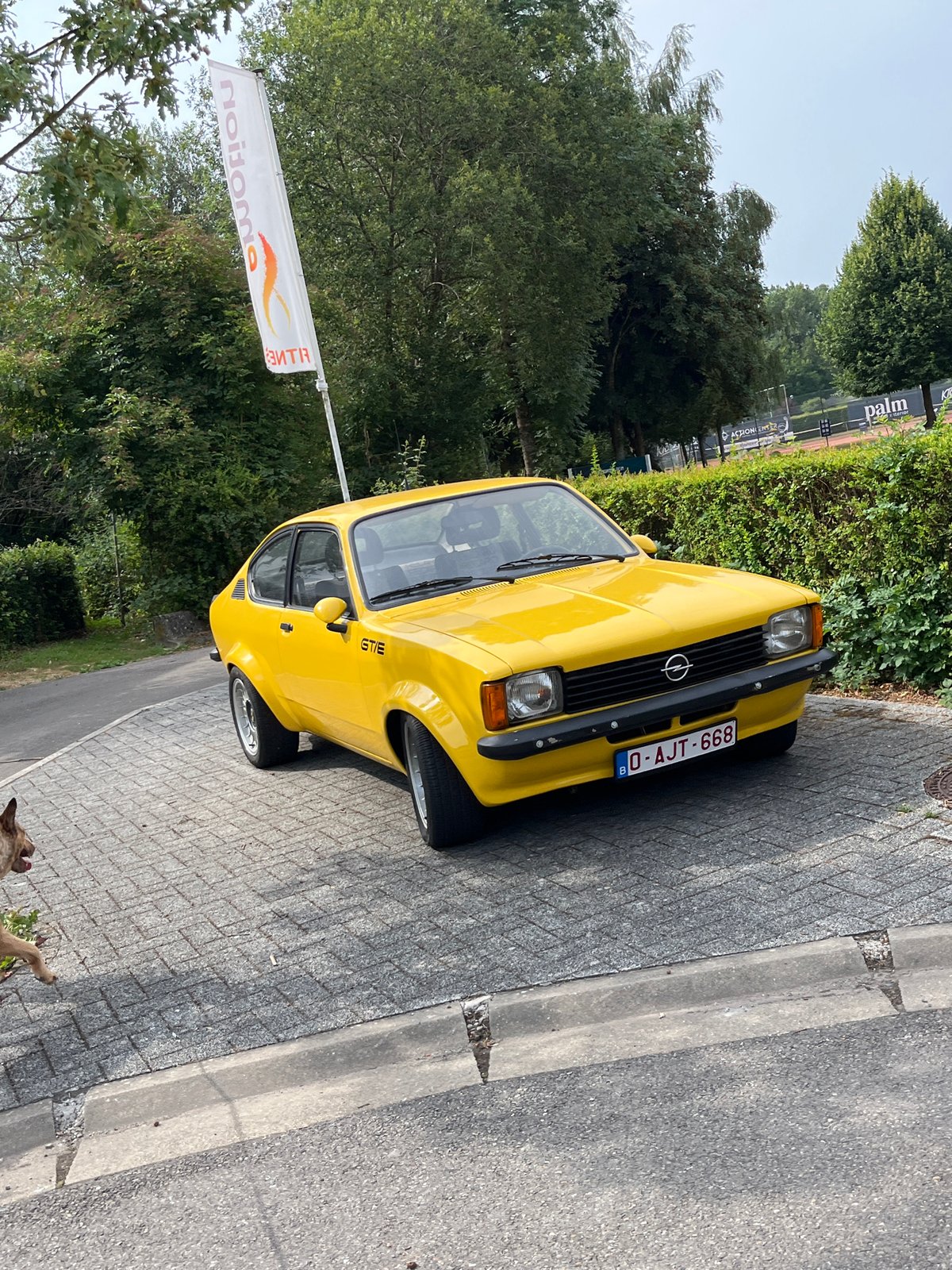 Classic and modern cars parked around Saint-Vith, Belgium