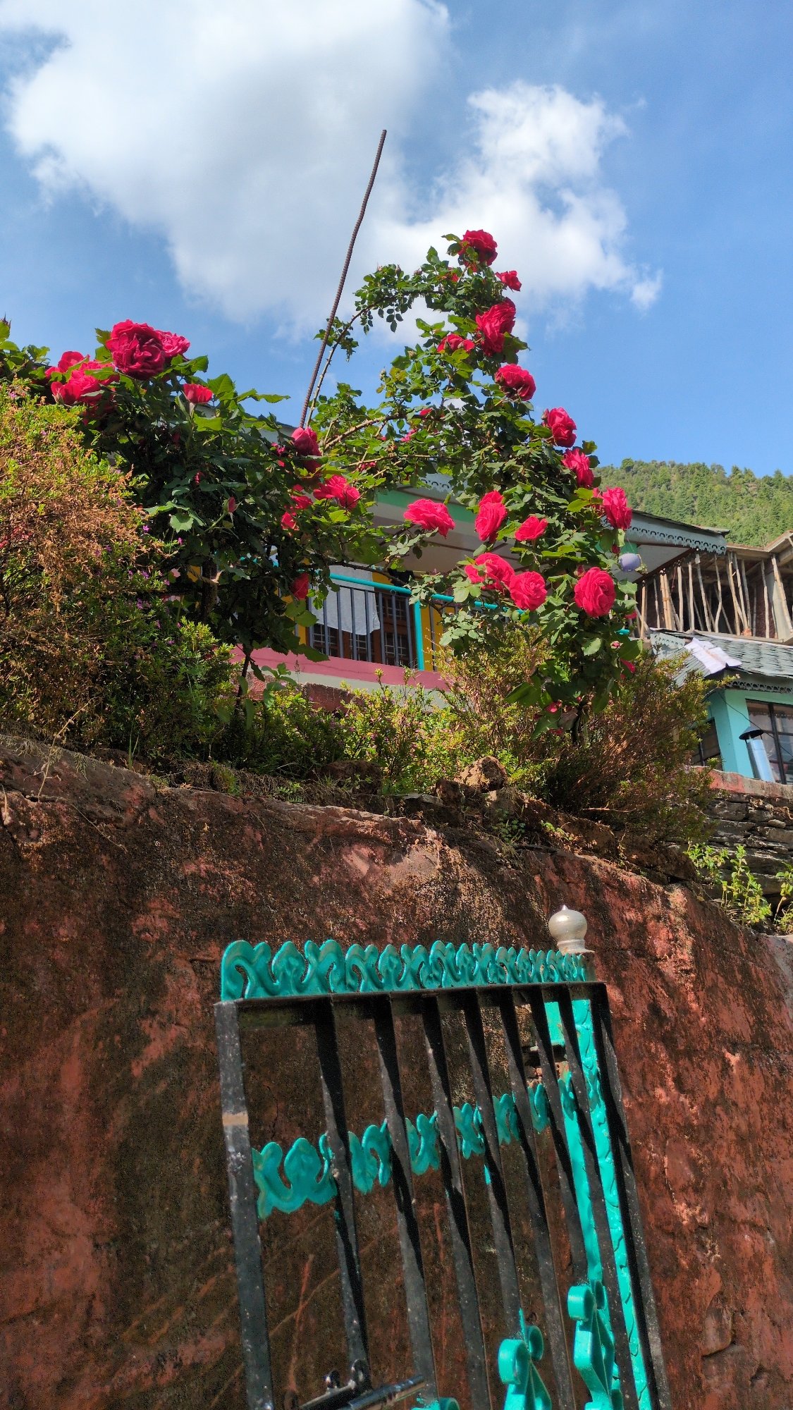 Morning scenes captured in Bhagsu village, India