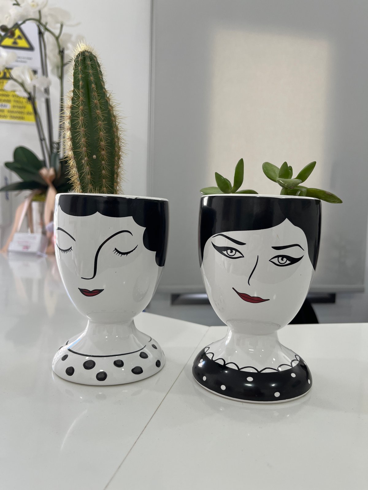 Face-shaped ceramic planters spotted in Limassol, Cyprus