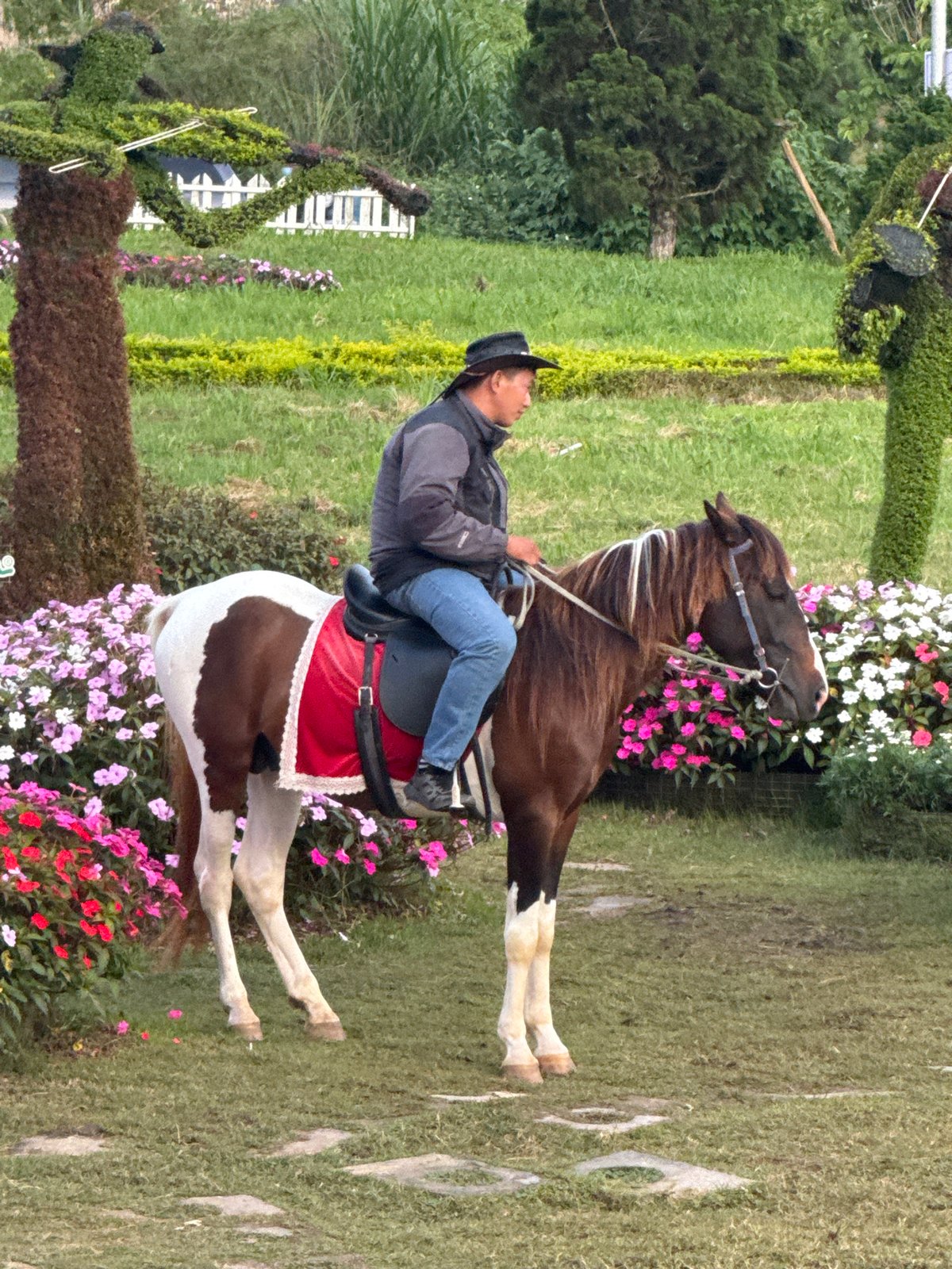 A morning tour through Da Lat's gardens, lake, and attractions