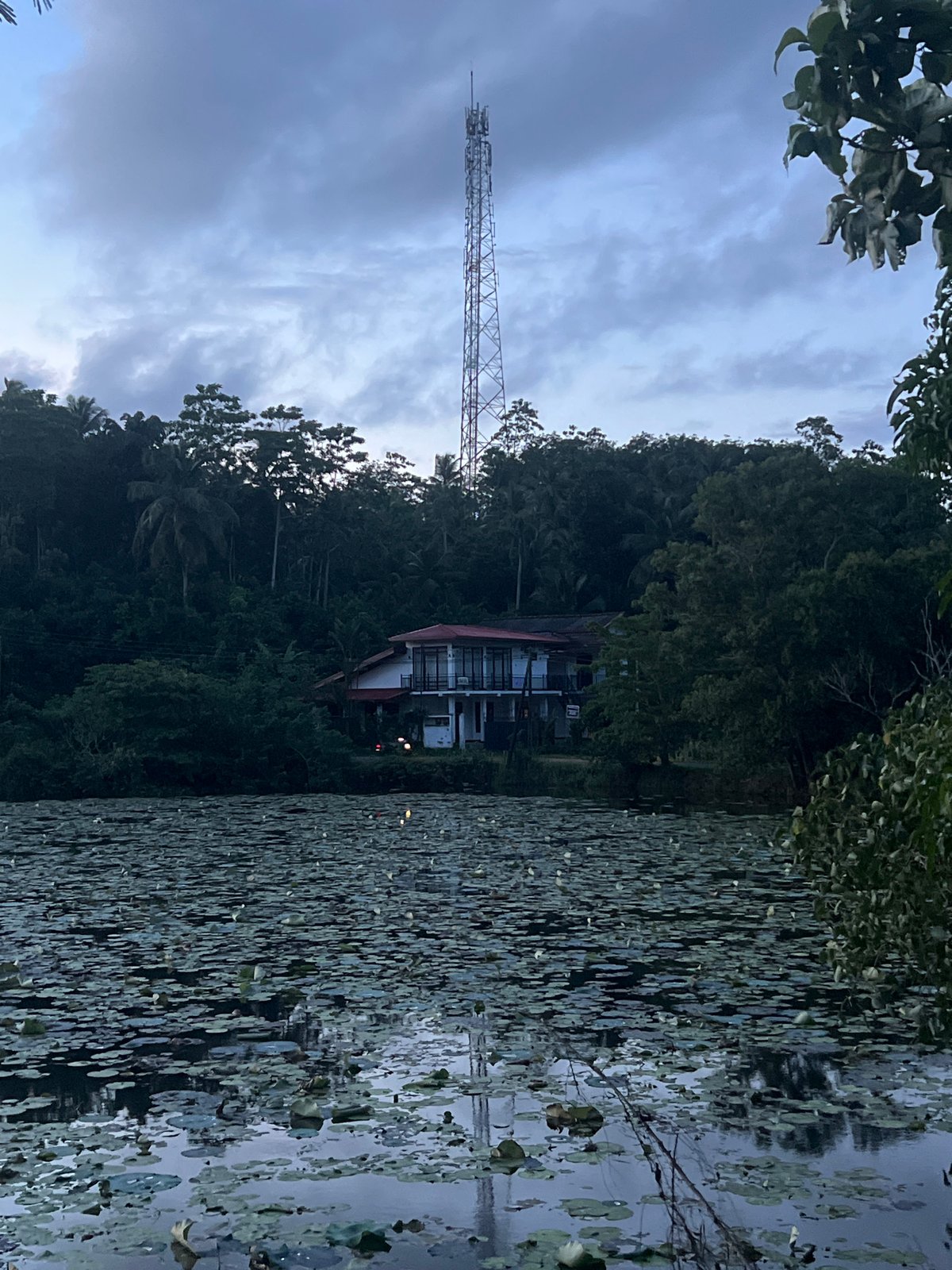 Peaceful lake scene captured in Moodugamuawa, Sri Lanka