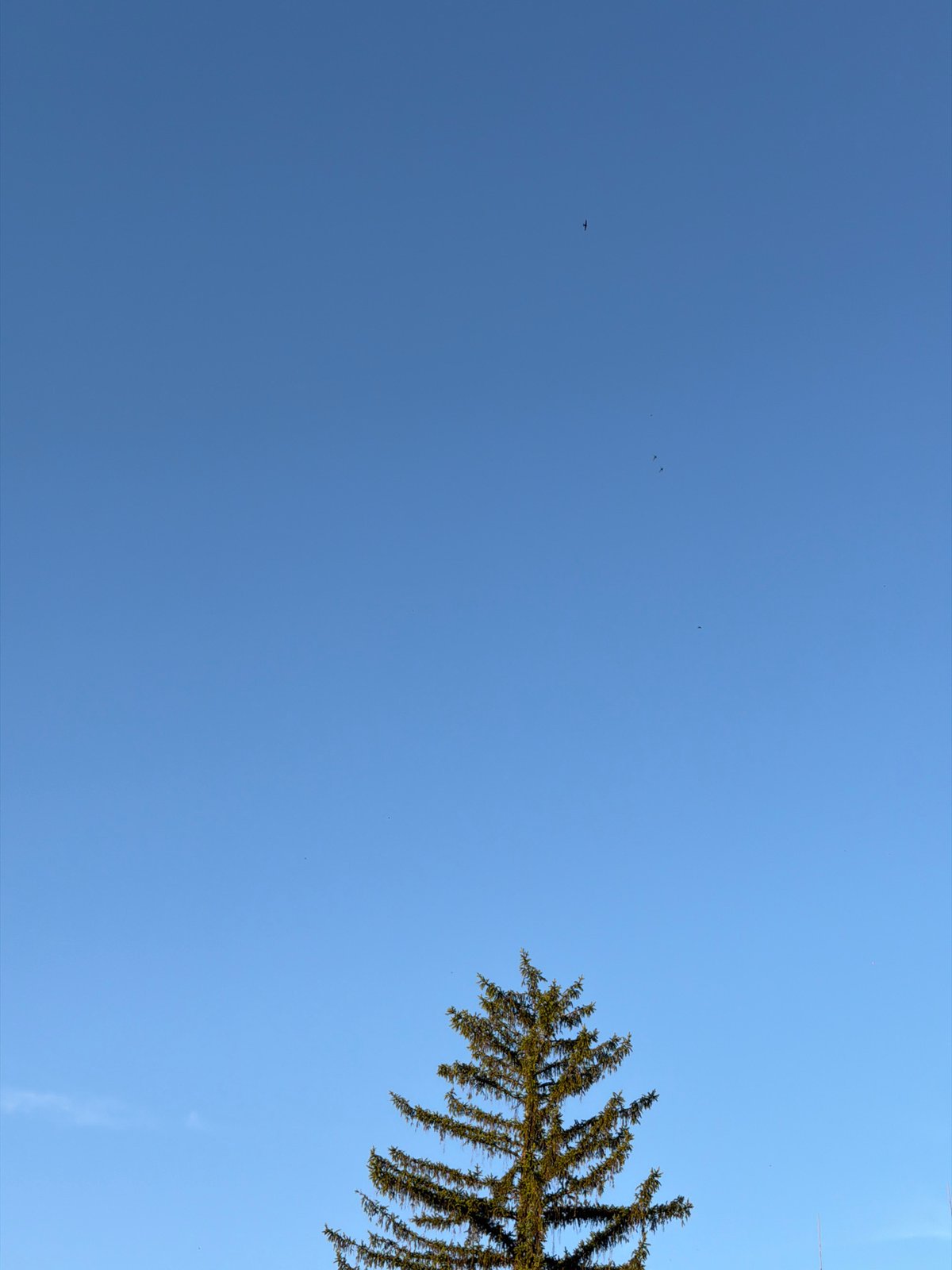 A Lovech afternoon: rooftops, crescent moon, and street-level details