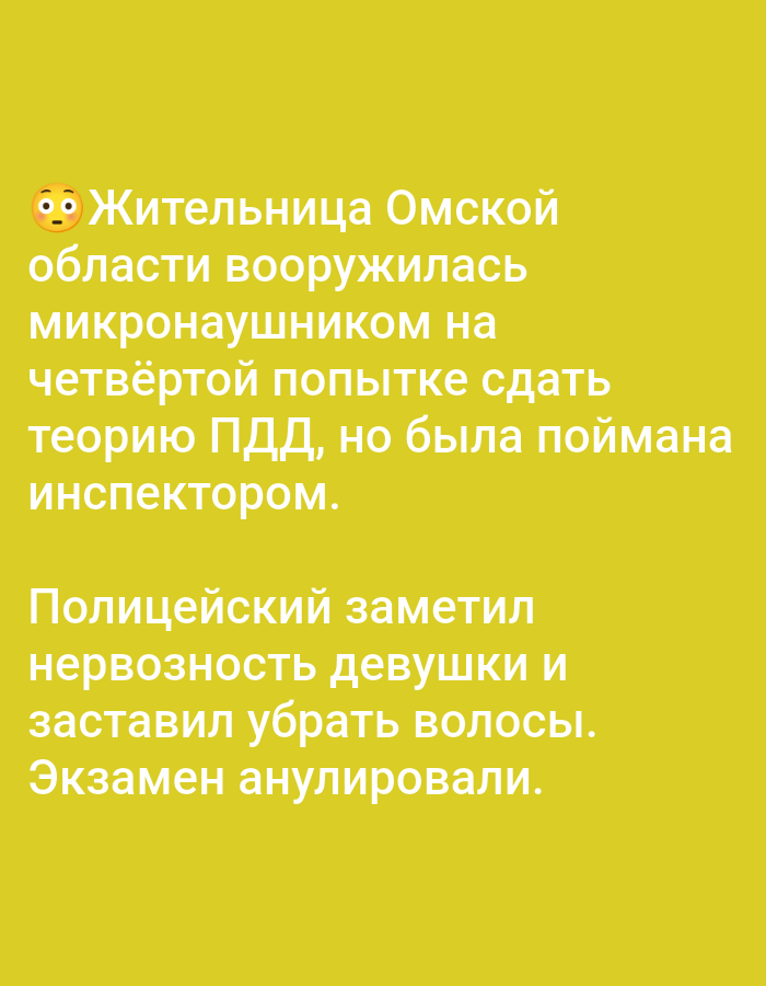 Russian news roundup: exam cheats, a Sochi cat, and a crosswalk crash
