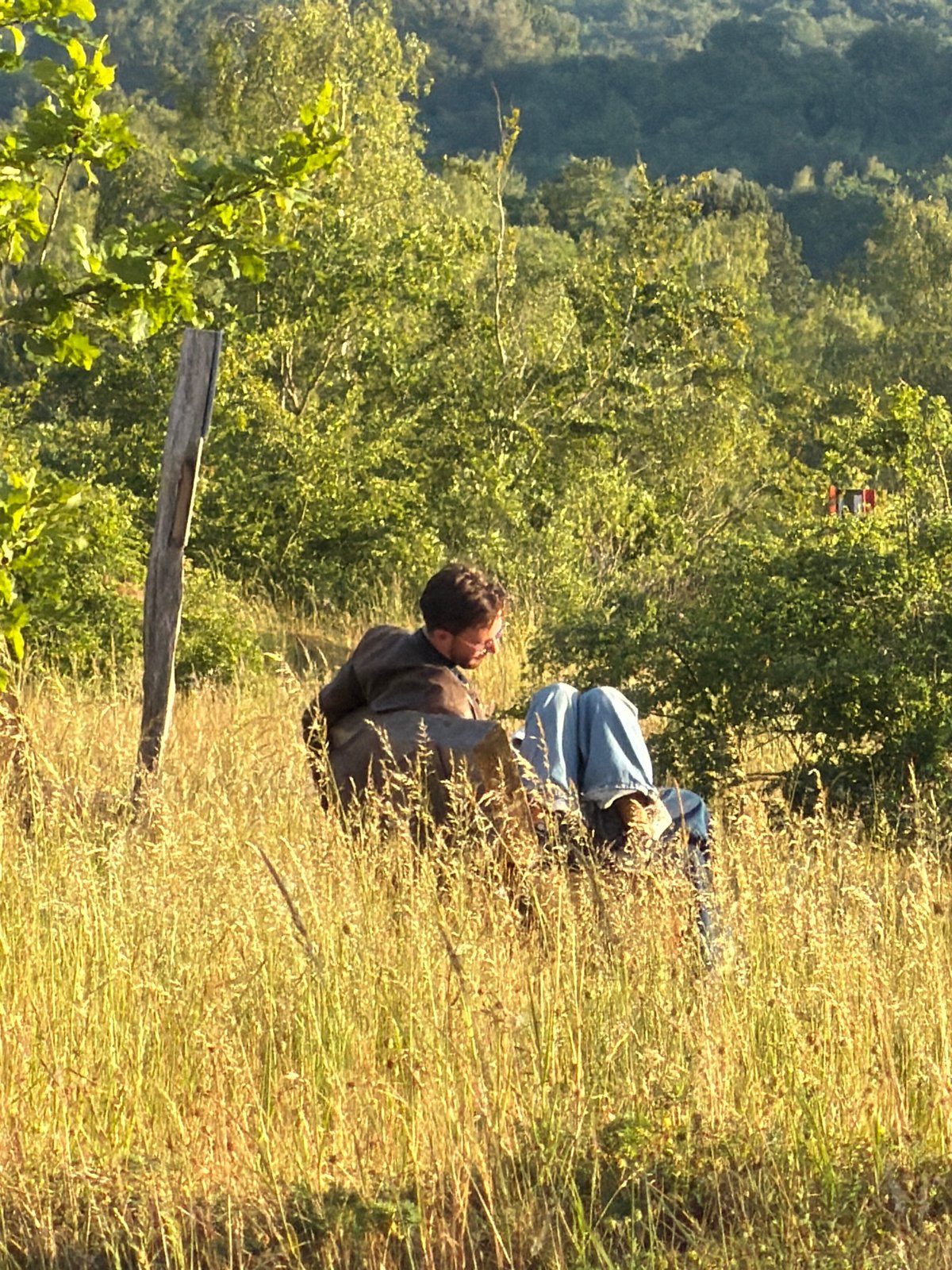 Person with dog enjoys sunset in Luxembourg field
