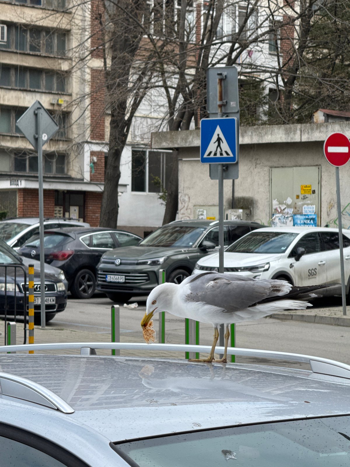 Everyday street life documented in Burgas, Bulgaria