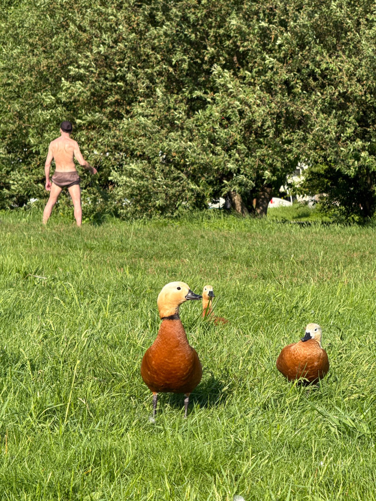 Spring afternoon scenes capture Moscow families, wildlife around city waterways