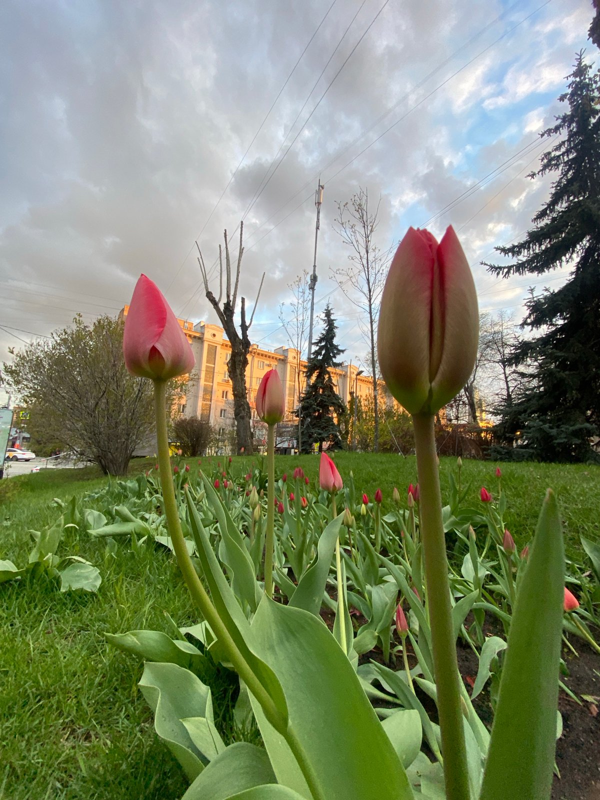 Spring evening scenes documented across Moscow neighborhoods