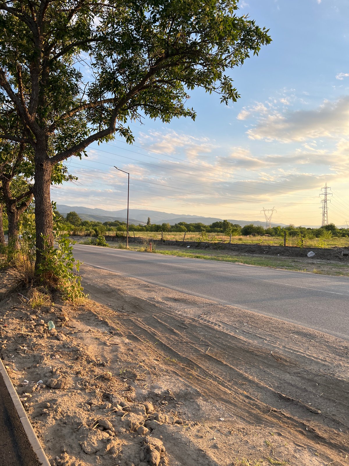 Dog walk on a freshly paved rural road near Plovdiv