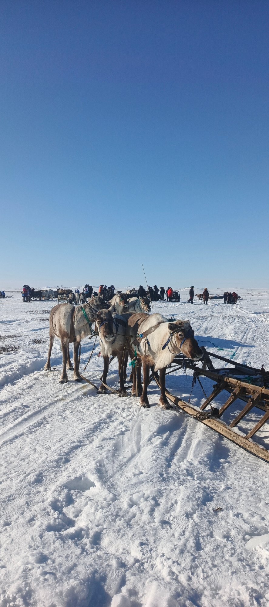 Traditional cultural performance held on snowy tundra in Arctic Russia